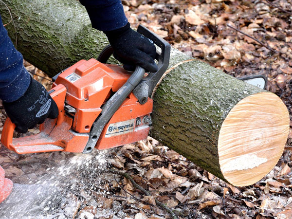 Tree Work